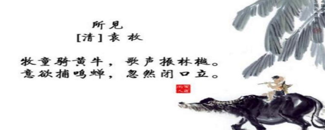 捕蝉的诗句有哪些