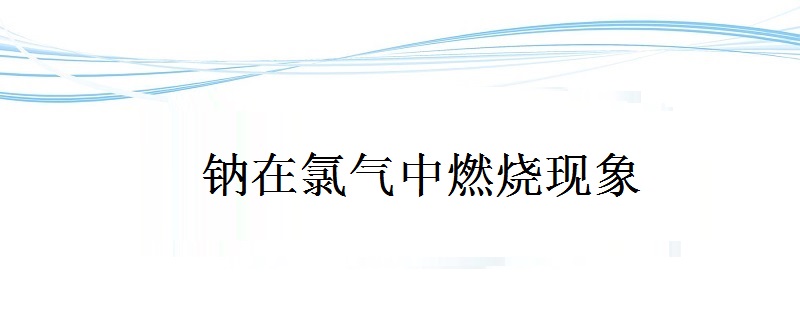 钠在氯气中燃烧现象